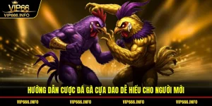 Hướng dẫn cược đá gà cựa dao dễ hiểu cho người mới