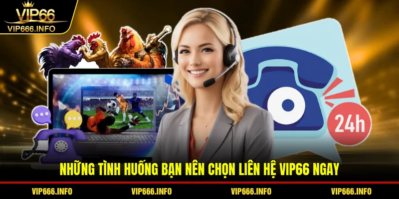 Những tình huống bạn nên chọn liên hệ VIP66 ngay