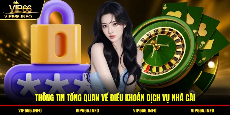 Thông tin tổng quan về điều khoản dịch vụ nhà cái