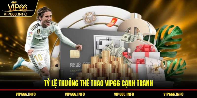 Tỷ lệ thưởng thể thao VIP66 cạnh tranh